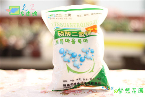 能促进多肉植物开花的磷酸二氢钾