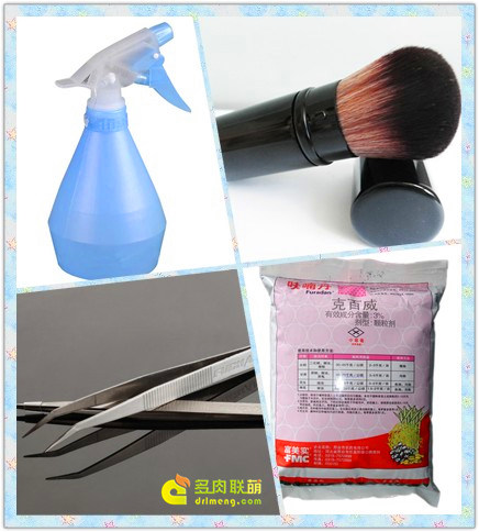 多肉植物常用工具