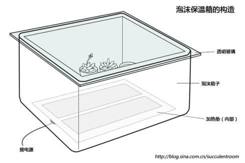 多肉植物防寒之泡沫保温箱