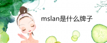 mslan是什么牌子