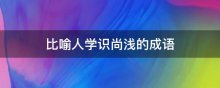 比喻人学识尚浅的成语