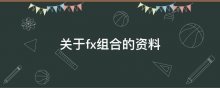 关于fx组合的资料