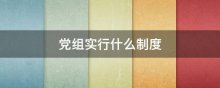 党组实行什么制度