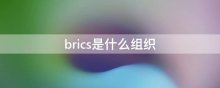 brics是什么组织