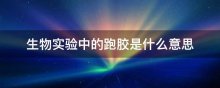 生物实验中的跑胶是什么意思