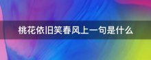 桃花依旧笑春风上一句是什么