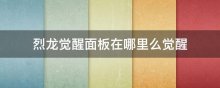 烈龙觉醒面板在哪里么觉醒