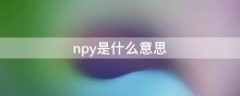 npy是什么意思