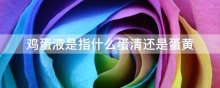 鸡蛋液是指什么蛋清还是蛋黄