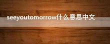 seeyoutomorrow什么意思中文