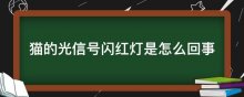 猫的光信号闪红灯是怎么回事