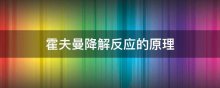 霍夫曼降解反应的原理
