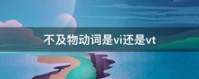 不及物动词是vi还是vt