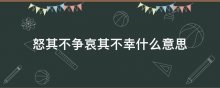 怒其不争哀其不幸什么意思