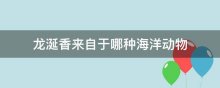 龙涎香来自于哪种海洋动物