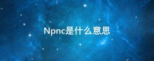 Npnc是什么意思