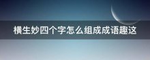 横生妙四个字怎么组成成语趣这