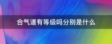 合气道有等级吗分别是什么