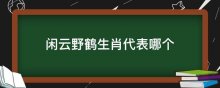 闲云野鹤生肖代表哪个