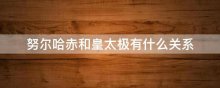 努尔哈赤和皇太极有什么关系
