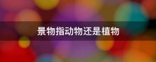 景物指动物还是植物