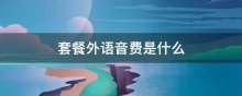 套餐外语音费是什么