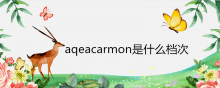aqeacarmon是什么档次