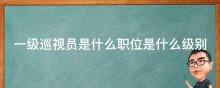 一级巡视员是什么职位是什么级别