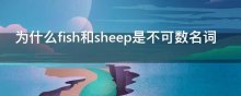 为什么fish和sheep是不可数名词