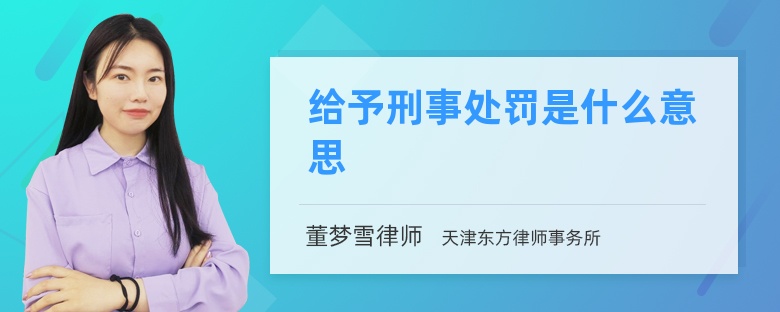 给予刑事处罚是什么意思