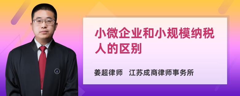 小微企业和小规模纳税人的区别