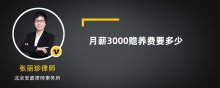 月薪3000赡养费要多少