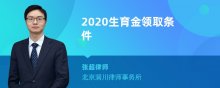 2020生育金领取条件