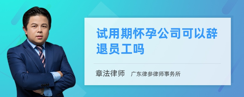 试用期怀孕公司可以辞退员工吗