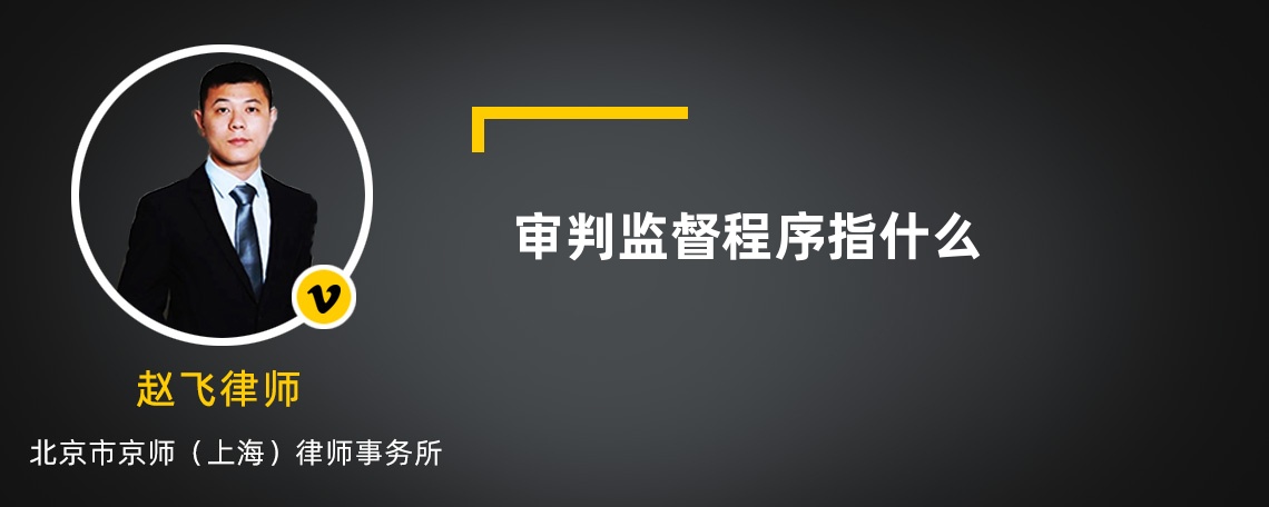 审判监督程序指什么