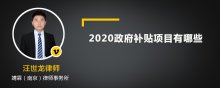 2020政府补贴项目有哪些