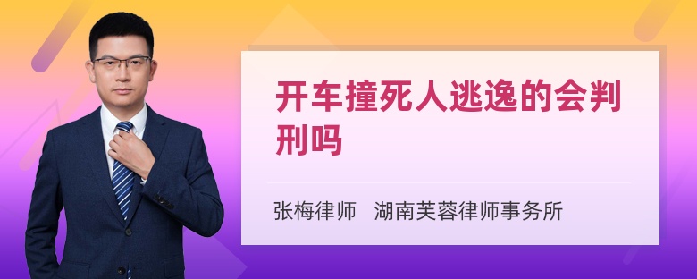 开车撞死人逃逸的会判刑吗