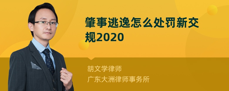 肇事逃逸怎么处罚新交规2020