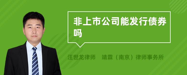 非上市公司能发行债券吗