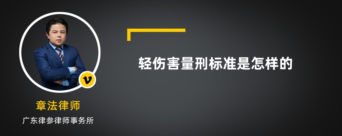 轻伤害量刑标准是怎样的