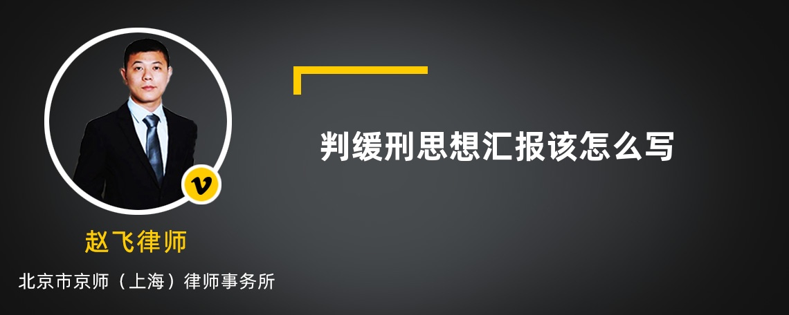 判缓刑思想汇报该怎么写