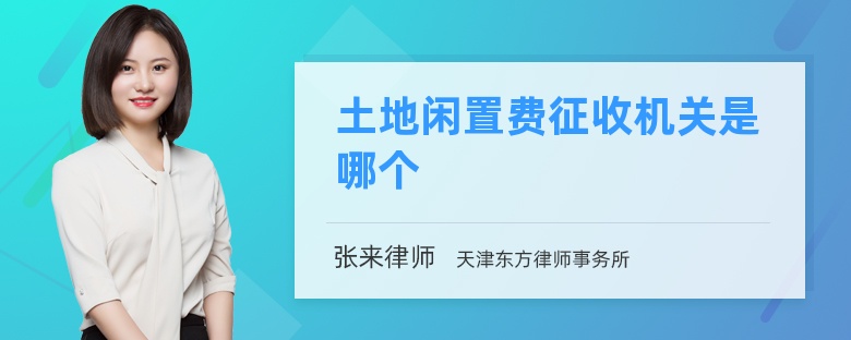 土地闲置费征收机关是哪个