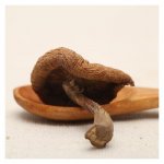 榛蘑具有降血压的功效吗？