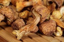 猴头菇和姬松茸能一起吃吗？姬松茸的饮食禁忌有哪些？