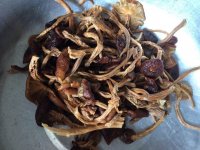 茶树菇可以包水饺吃吗？