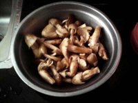 鸡枞菌汤的做法，可养血润燥