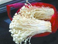 金针菇的几种常见做法，金针菇的功效