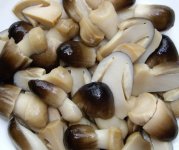 炒出来的草菇为什么会苦？草菇怎么炒好吃？