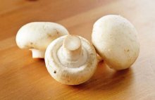 口蘑里面含有的蛋白质高吗？