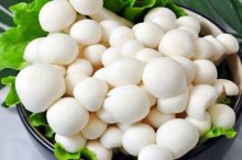 食用白玉菇有减肥的功效吗？